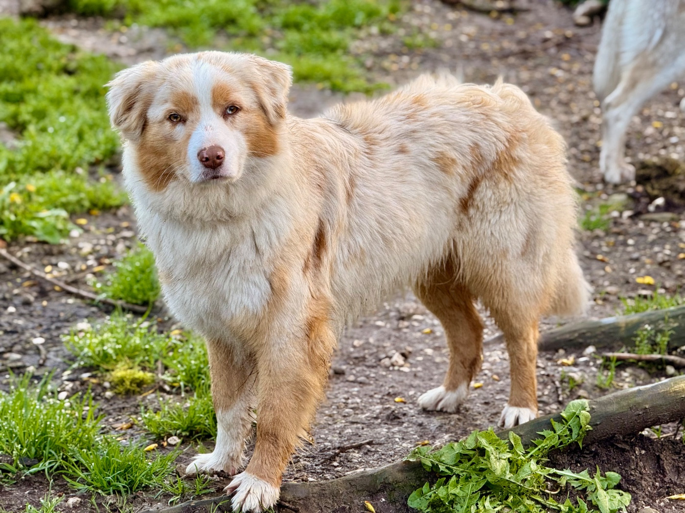 V'Tatooine (Sans Affixe)