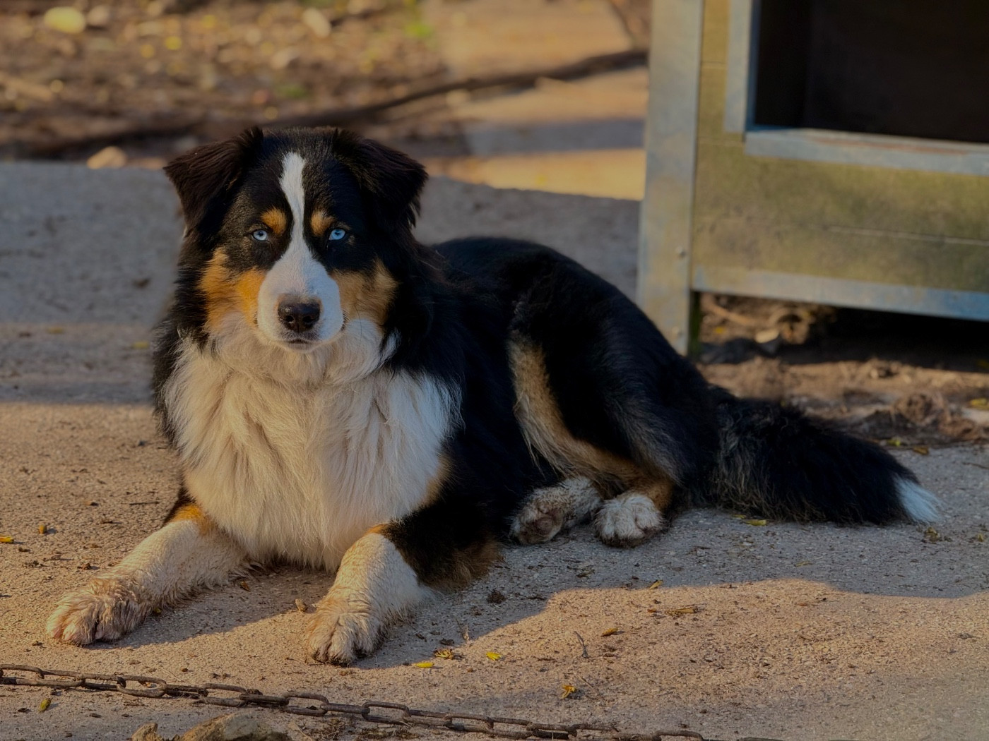 Arkan des Chemins d'Iris