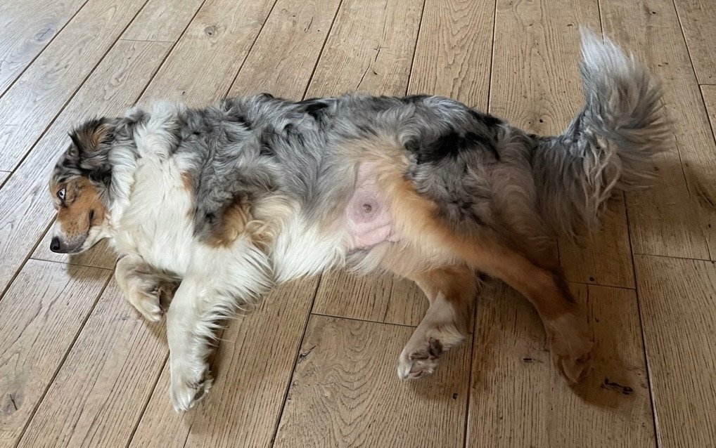 Flash Info naissance mi-mars 2026